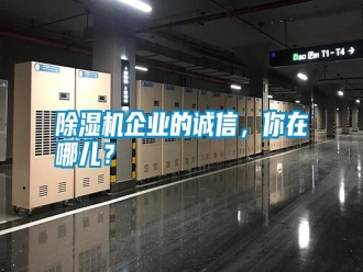 行業(yè)新聞除濕機(jī)企業(yè)的誠信，你在哪兒？