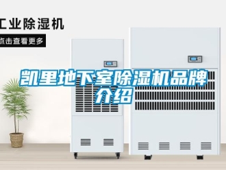 企業(yè)新聞凱里地下室除濕機品牌介紹