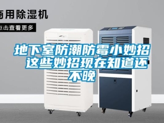 企業新聞地下室防潮防霉小妙招 這些妙招現在知道還不晚