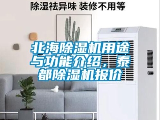 企業新聞北海除濕機用途與功能介紹，泰都除濕機報價