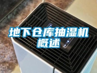 企業(yè)新聞地下倉(cāng)庫(kù)抽濕機(jī)概述