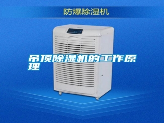 行業(yè)新聞吊頂除濕機的工作原理