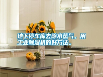 行業(yè)新聞地下停車庫去除水蒸氣，用工業(yè)除濕機的好方法。
