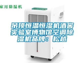 企業(yè)新聞吊頂恒溫恒濕機(jī)酒窖實(shí)驗(yàn)室博物館空調(diào)除濕機(jī)品牌：松越