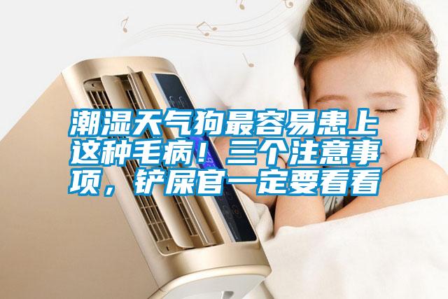 潮濕天氣狗最容易患上這種毛病！三個注意事項，鏟屎官一定要看看