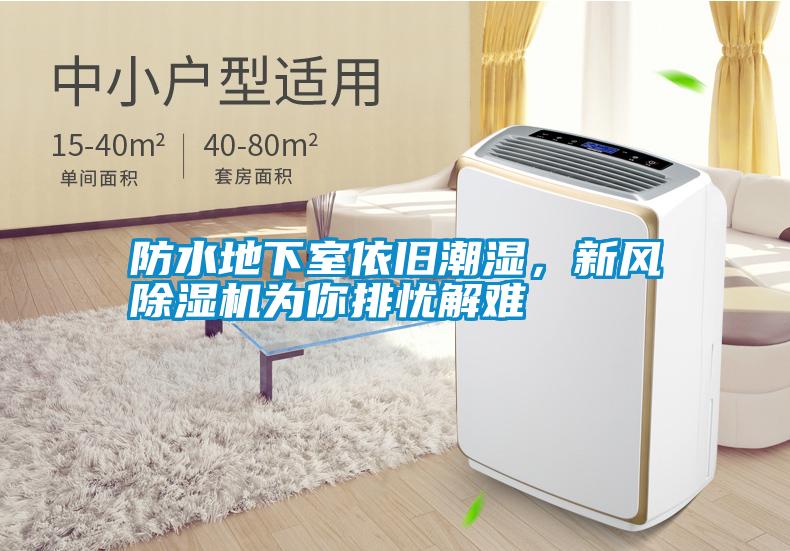 防水地下室依舊潮濕，新風除濕機為你排憂解難