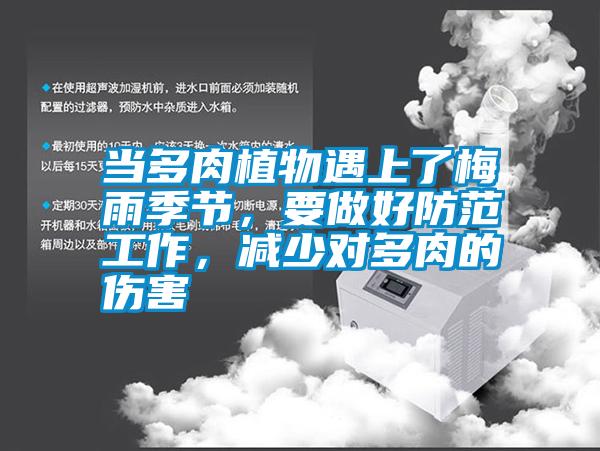 當(dāng)多肉植物遇上了梅雨季節(jié)，要做好防范工作，減少對(duì)多肉的傷害