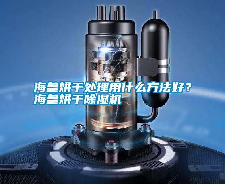 海參烘干處理用什么方法好？海參烘干除濕機