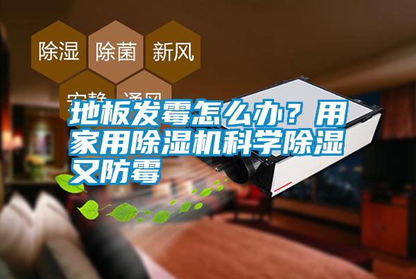 地板發(fā)霉怎么辦？用家用除濕機(jī)科學(xué)除濕又防霉