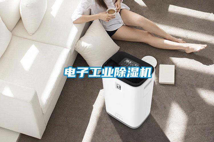 電子工業除濕機