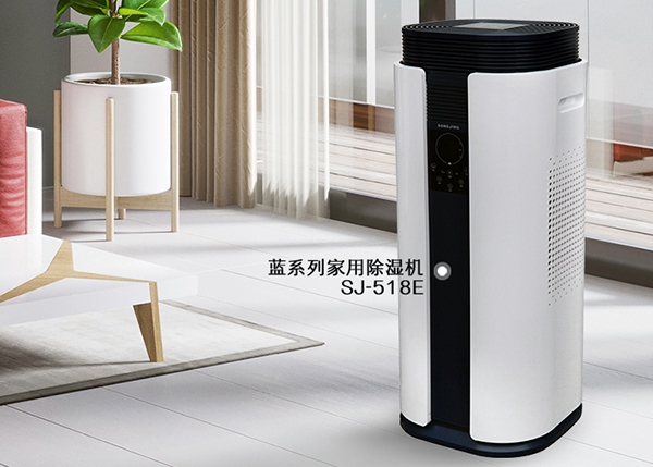 觀點：塑造中國除濕機企業