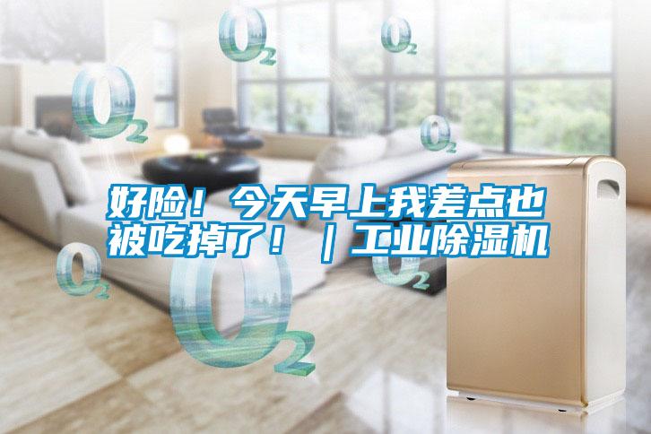 好險！今天早上我差點也被吃掉了！｜工業(yè)除濕機
