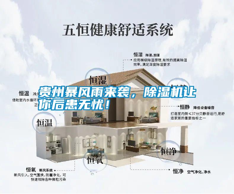 貴州暴風(fēng)雨來襲，除濕機讓你后患無憂！