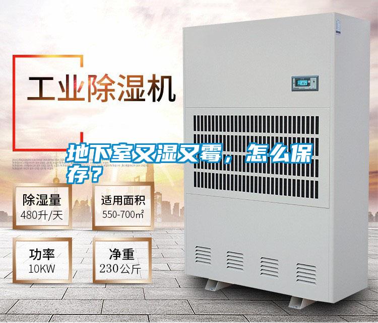 地下室又濕又霉，怎么保存？