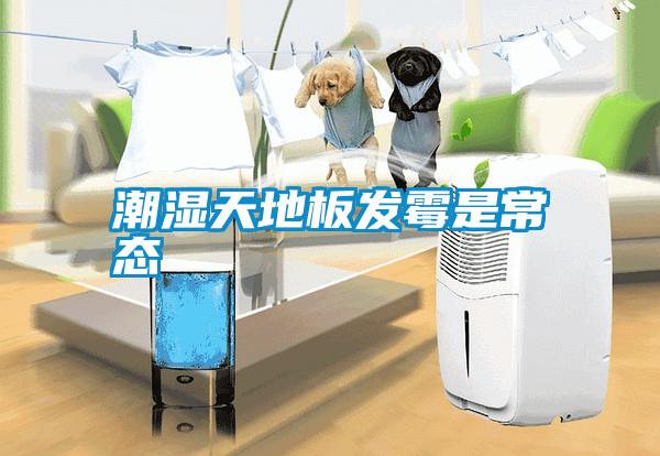 潮濕天地板發霉是常態