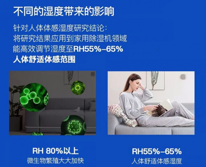梅雨季怎么養護月季？