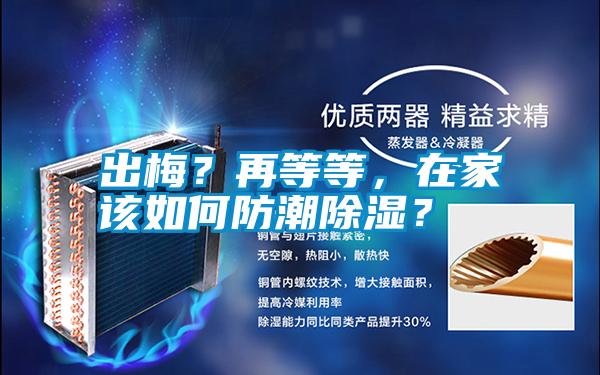 出梅？再等等，在家該如何防潮除濕？