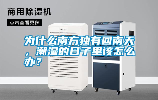 為什么南方獨有回南天，潮濕的日子里該怎么辦？