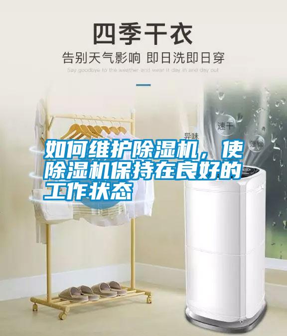 如何維護除濕機，使除濕機保持在良好的工作狀態