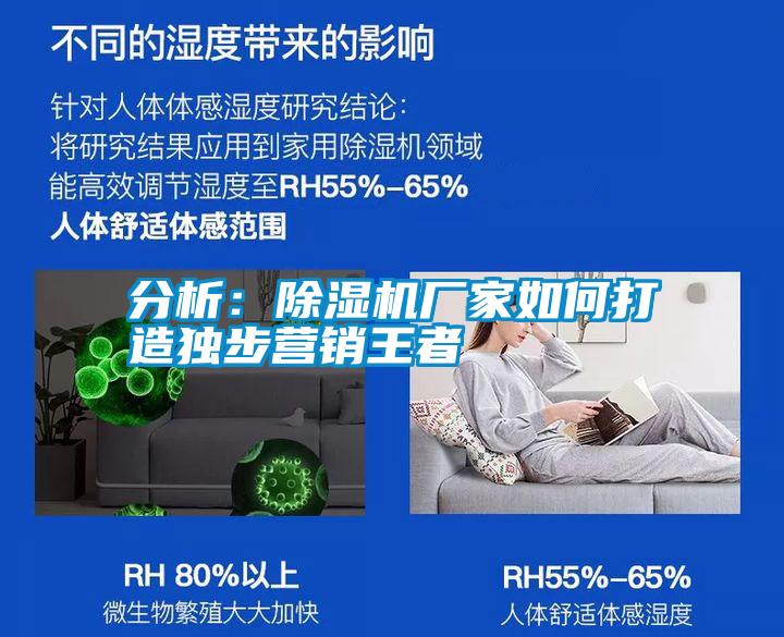 分析：除濕機(jī)廠家如何打造獨(dú)步營(yíng)銷王者