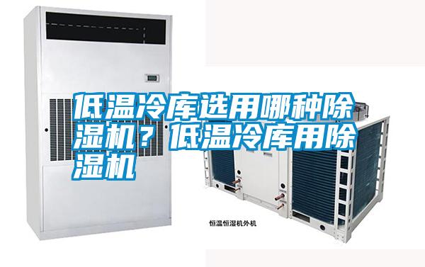 低溫冷庫選用哪種除濕機？低溫冷庫用除濕機