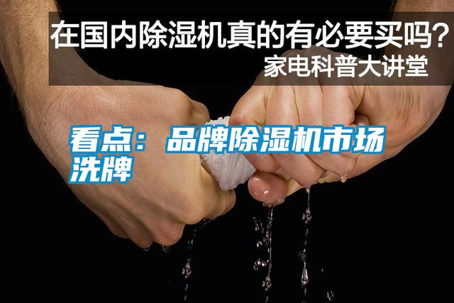 看點：品牌除濕機市場洗牌