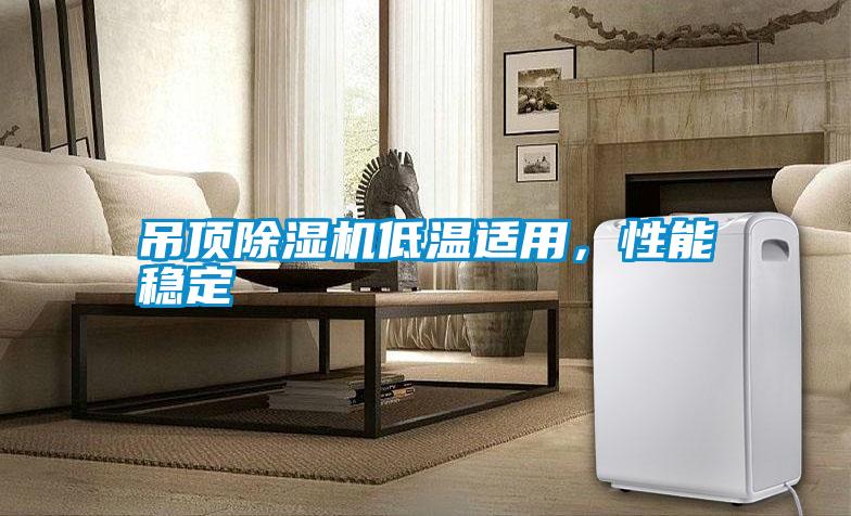 吊頂除濕機低溫適用，性能穩定