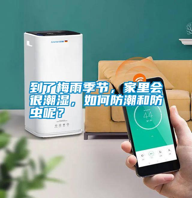 到了梅雨季節，家里會很潮濕，如何防潮和防蟲呢？