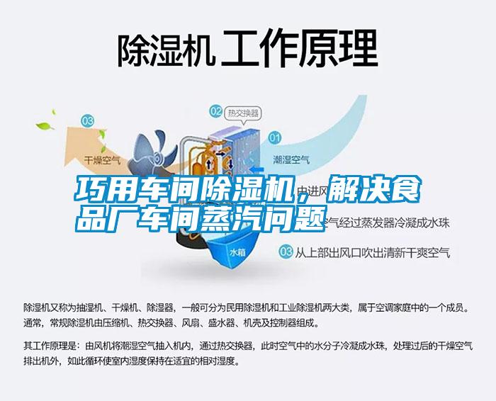 巧用車間除濕機(jī)，解決食品廠車間蒸汽問題