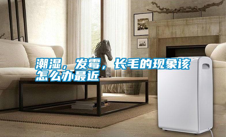 潮濕，發(fā)霉，長毛的現(xiàn)象該怎么辦最近