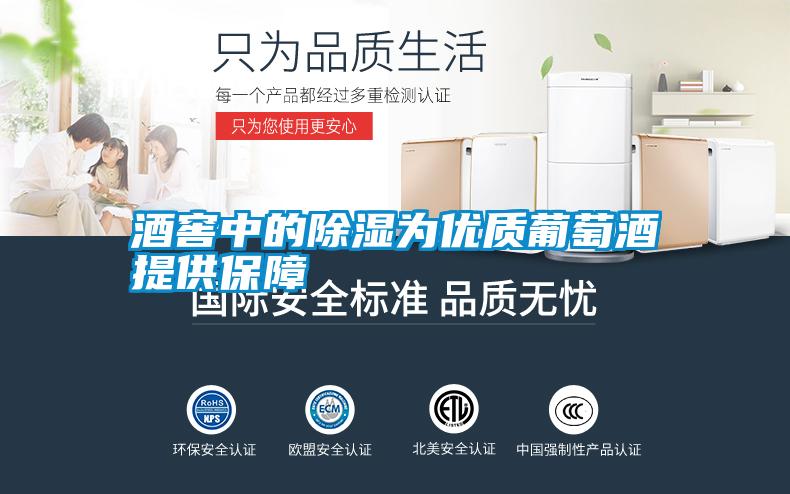 酒窖中的除濕為優質葡萄酒提供保障
