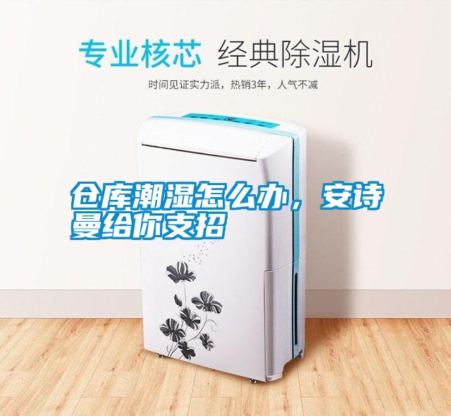 倉(cāng)庫(kù)潮濕怎么辦，安詩(shī)曼給你支招