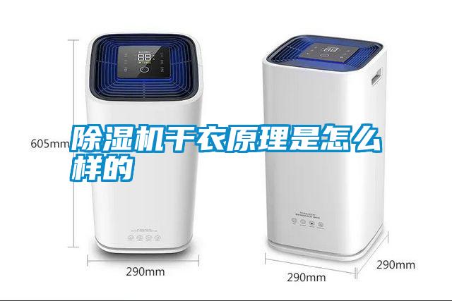 除濕機干衣原理是怎么樣的