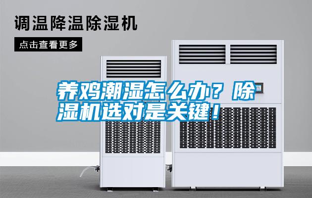 養(yǎng)雞潮濕怎么辦？除濕機(jī)選對(duì)是關(guān)鍵！
