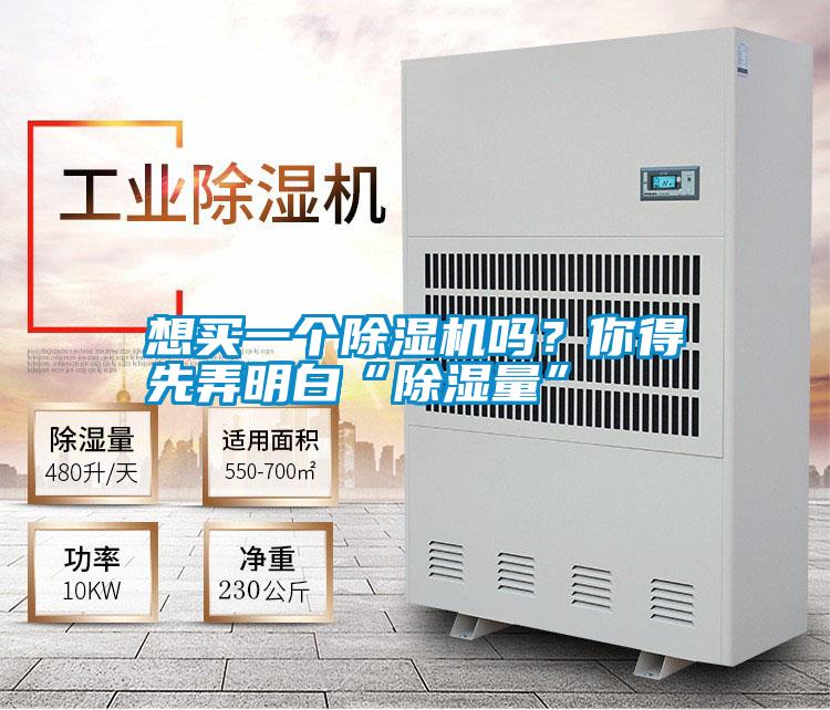 想買一個除濕機嗎？你得先弄明白“除濕量”