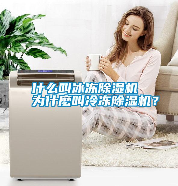 什么叫冰凍除濕機 為什麼叫冷凍除濕機？