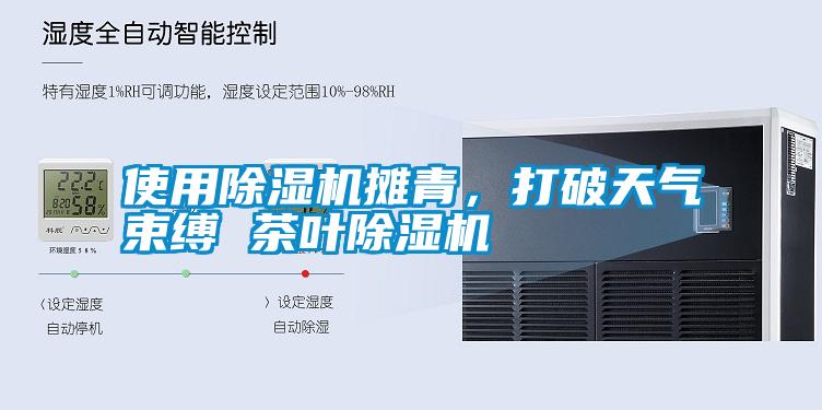 使用除濕機攤青，打破天氣束縛 茶葉除濕機
