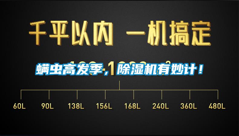 螨蟲高發季，除濕機有妙計！