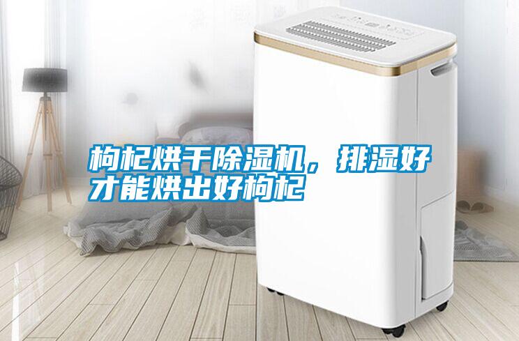 枸杞烘干除濕機(jī)，排濕好才能烘出好枸杞
