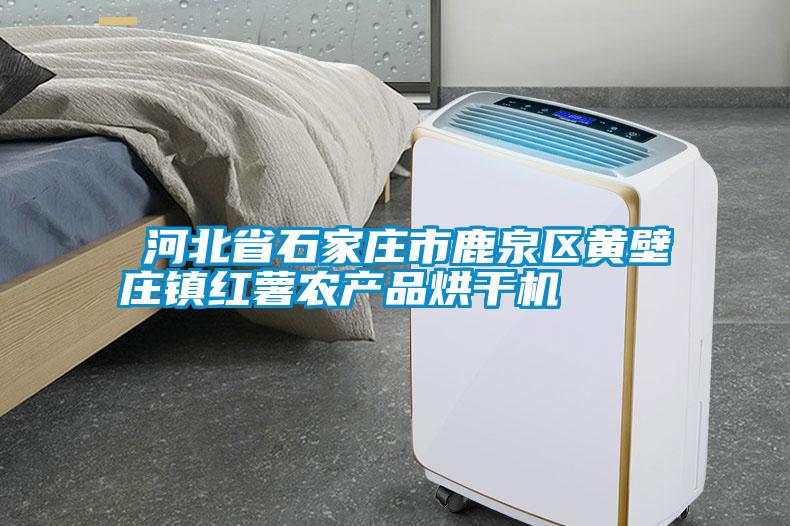 ?河北省石家莊市鹿泉區黃壁莊鎮紅薯農產品烘干機