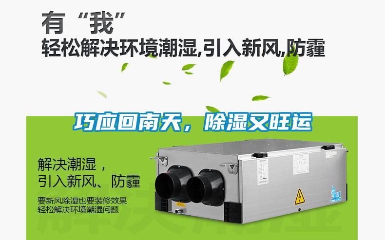 巧應回南天，除濕又旺運