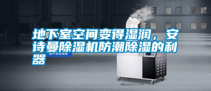 地下室空間變得濕潤，安詩曼除濕機防潮除濕的利器