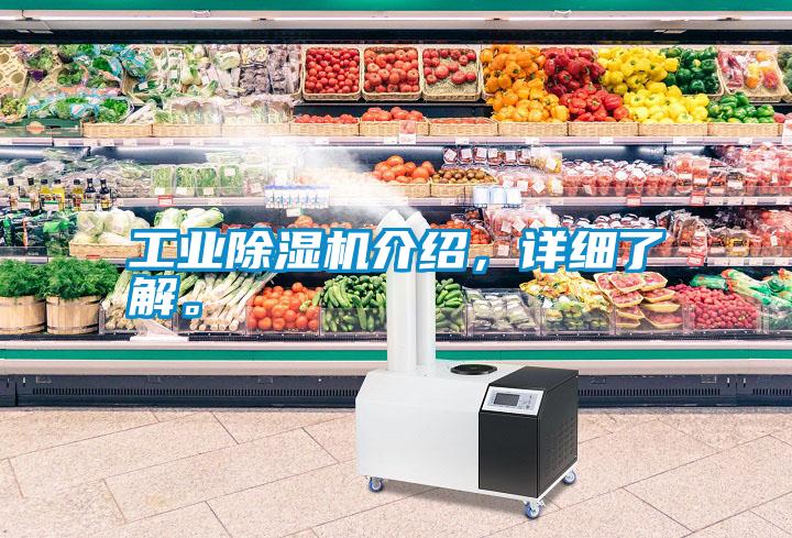 工業(yè)除濕機(jī)介紹，詳細(xì)了解。