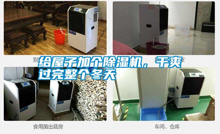 給屋子加個除濕機，干爽過完整個冬天