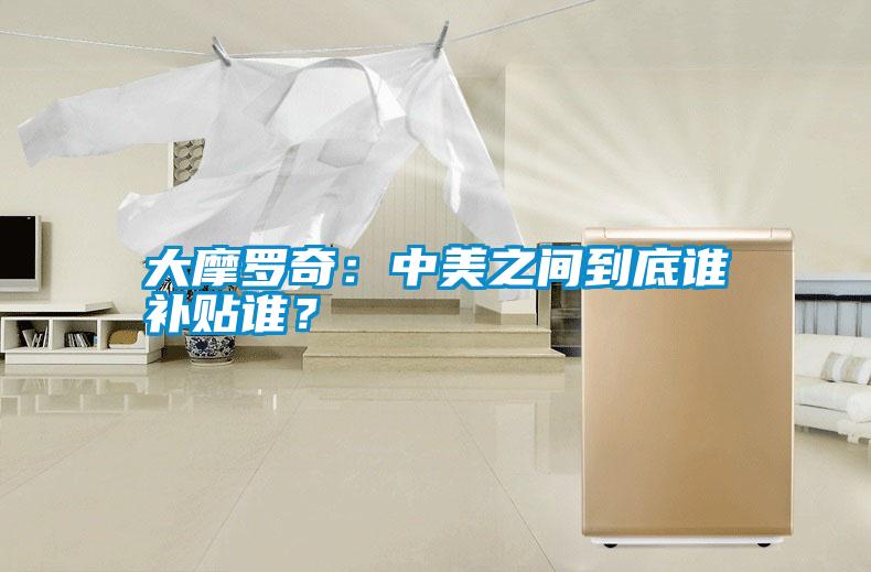 大摩羅奇：中美之間到底誰補貼誰？
