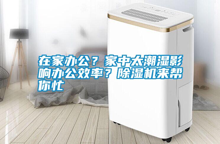 在家辦公？家中太潮濕影響辦公效率？除濕機來幫你忙