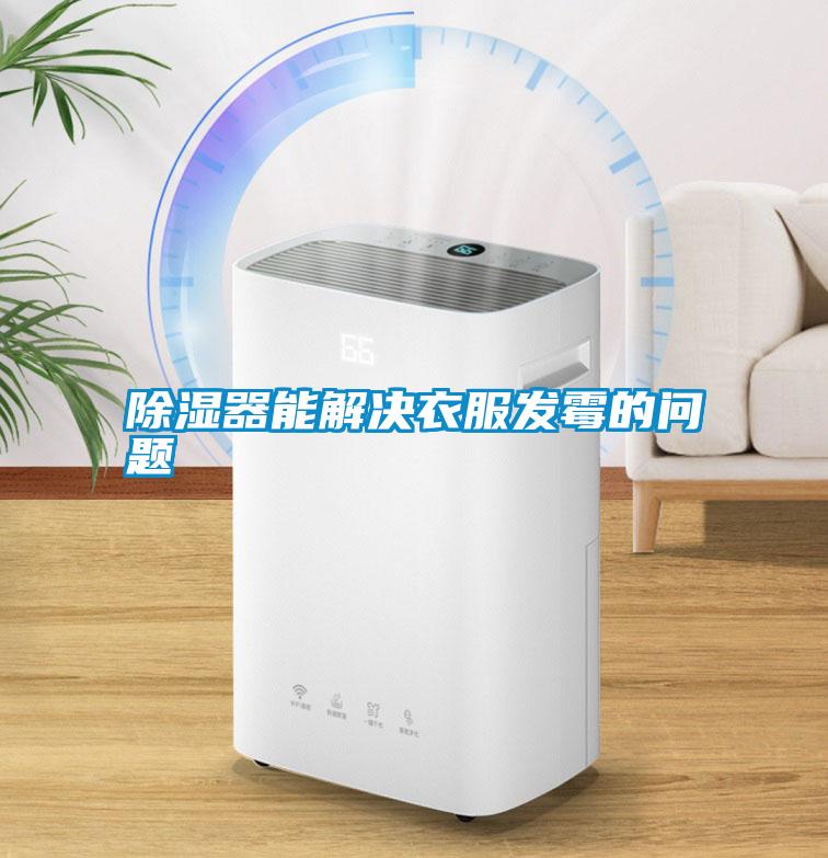 除濕器能解決衣服發霉的問題
