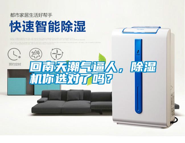 回南天潮氣逼人，除濕機你選對了嗎？