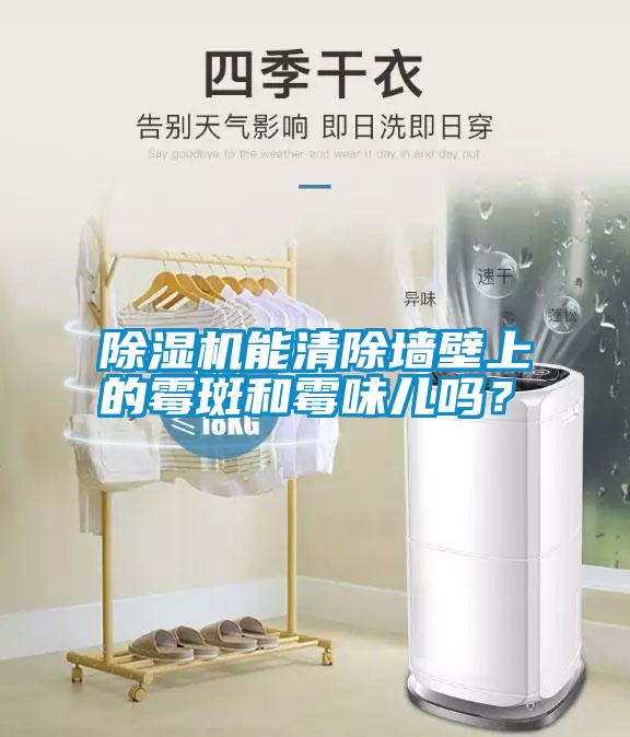 除濕機(jī)能清除墻壁上的霉斑和霉味兒嗎？