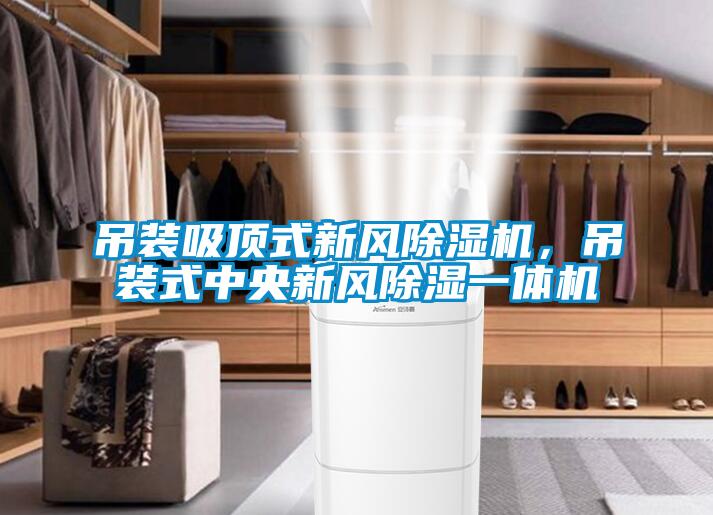吊裝吸頂式新風除濕機，吊裝式中央新風除濕一體機